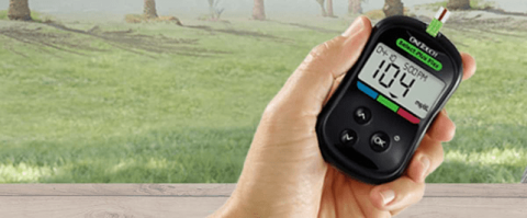 Blood glucose meter